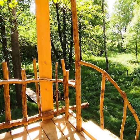 Apartamento Treehouse Lea Mikulášovice Exterior foto