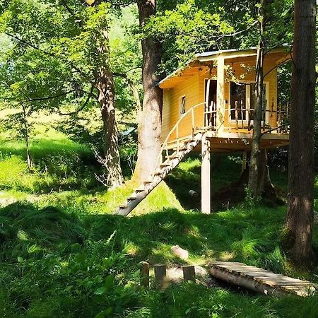 Apartamento Treehouse Lea Mikulášovice Exterior foto